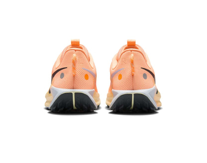 Zapatillas para correr Nike Pegasus Trail 5 para mujer